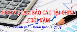 lam-bao-cao-tai-chinh-2